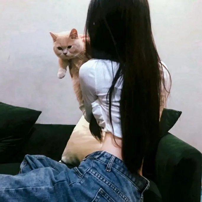 赌霸粤语